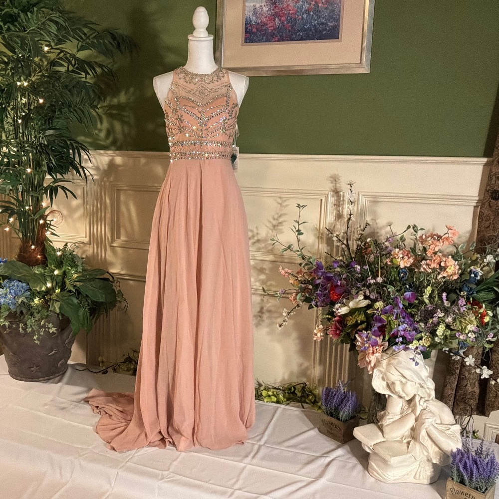 Blush pink chiffon Prom dress